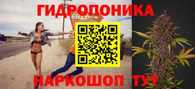 гидропоника Лесосибирск