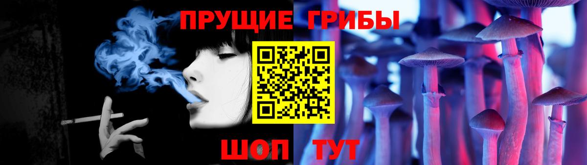 Галлюциногенные грибы Psilocybe  Вход с VPN  Гудермес 